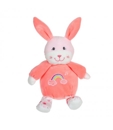 Petits musicaux rainbow 20 cm